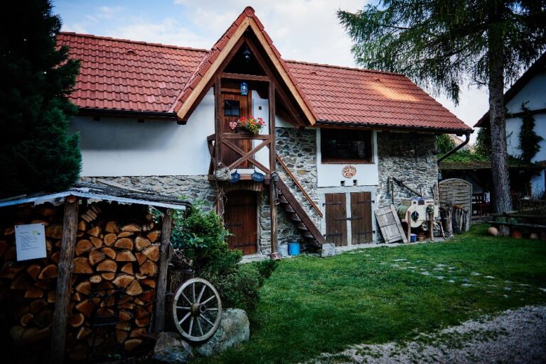 Statek Vletice